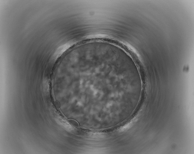 X0000092010921200709131531