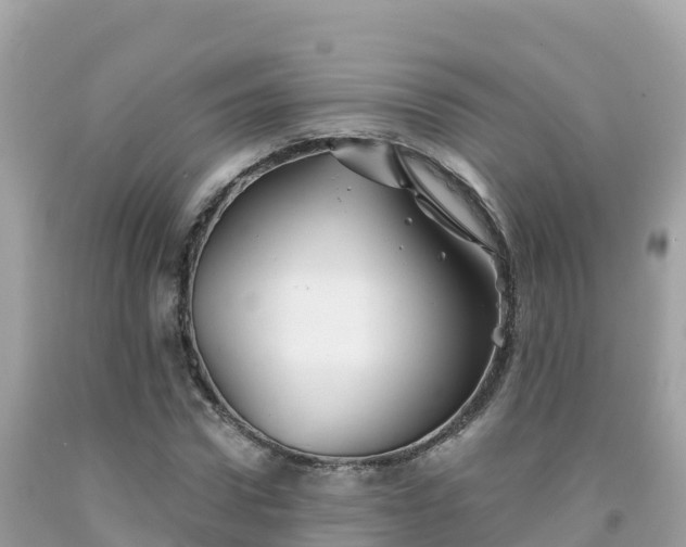 X0000092010922200709131531