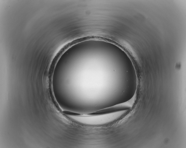 X0000092010924200709131531