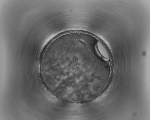 X0000092010925200709131531