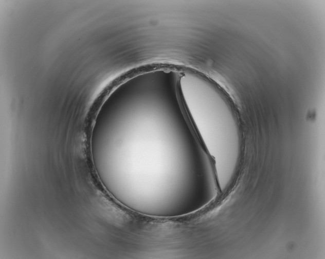 X0000092010926200709131531