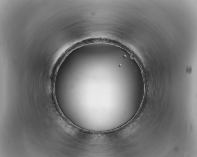 X0000092010927200709131531