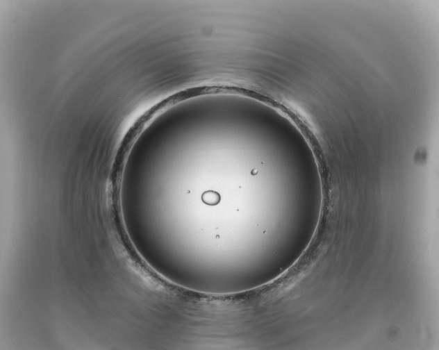 X0000092010928200709131531