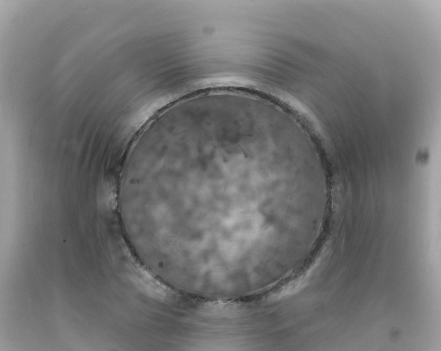X0000092010929200709131531