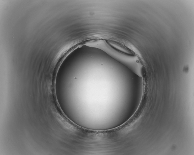 X0000092010930200709131531