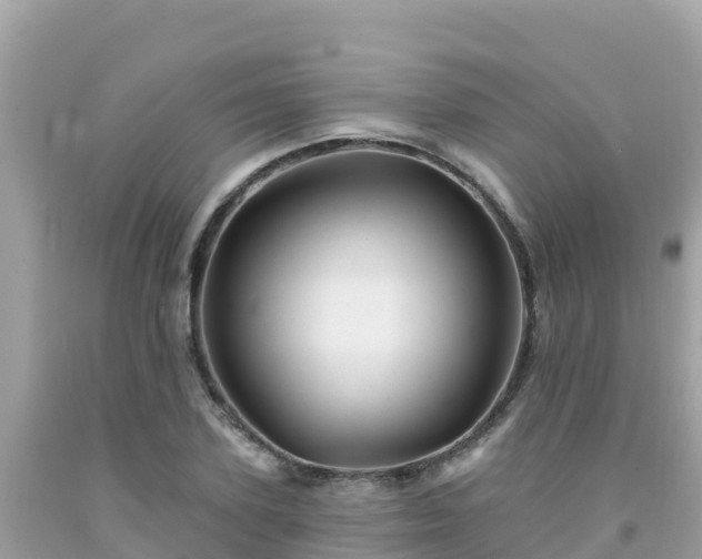 X0000092010931200709131531