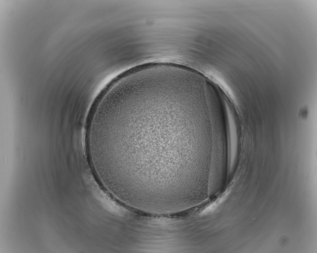 X0000092010932200709131531