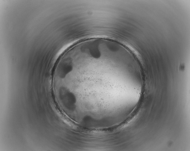 X0000092010933200709131531
