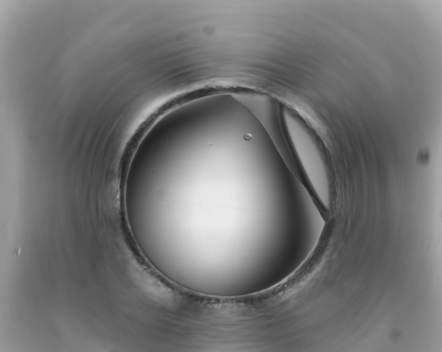 X0000092010934200709131531