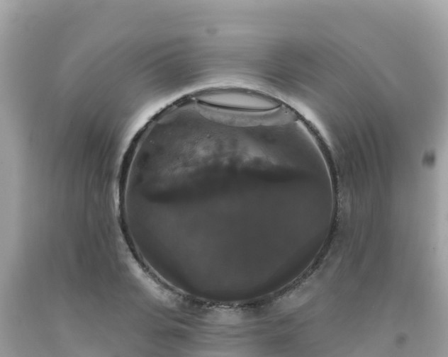 X0000092010935200709131531