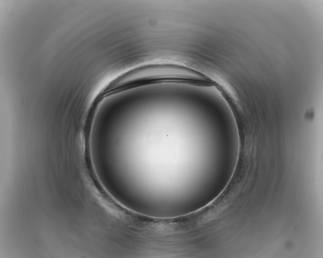 X0000092010936200709131531