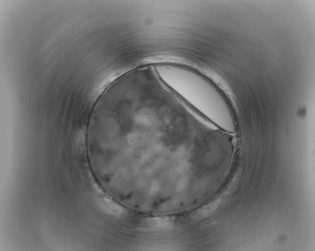 X0000092010937200709131531
