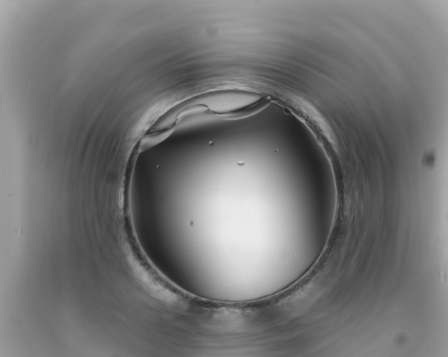X0000092010938200709131531