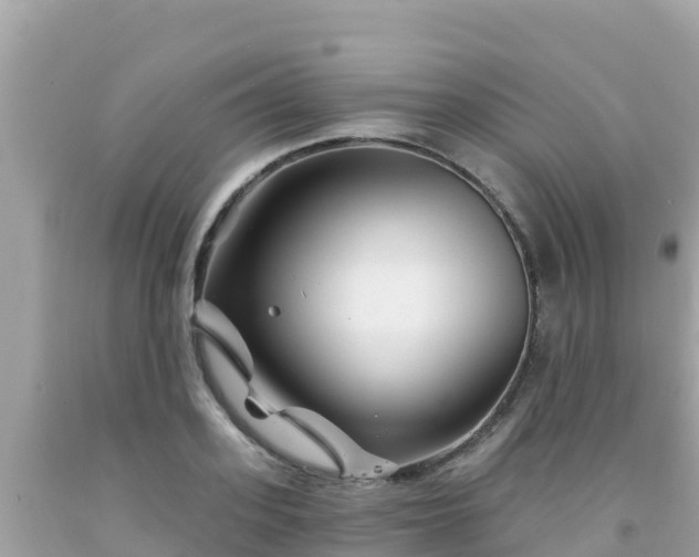 X0000092010939200709131531