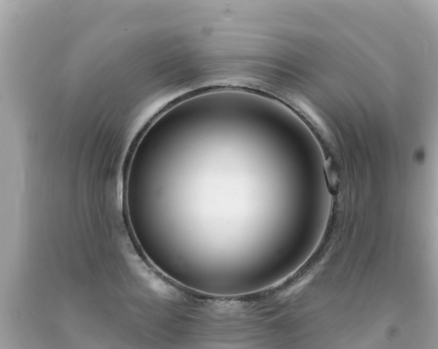 X0000092010940200709131531