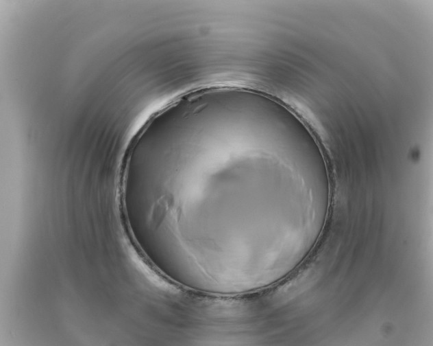 X0000092010941200709131531