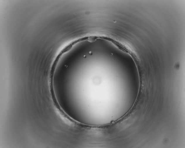 X0000092010942200709131531