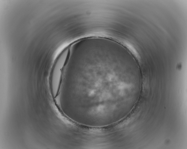 X0000092010944200709131531