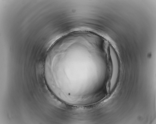 X0000092010945200709131531