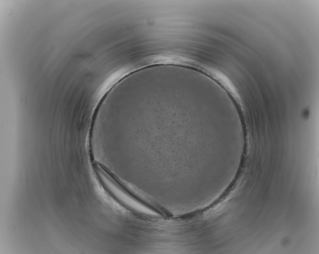 X0000092010946200709131531