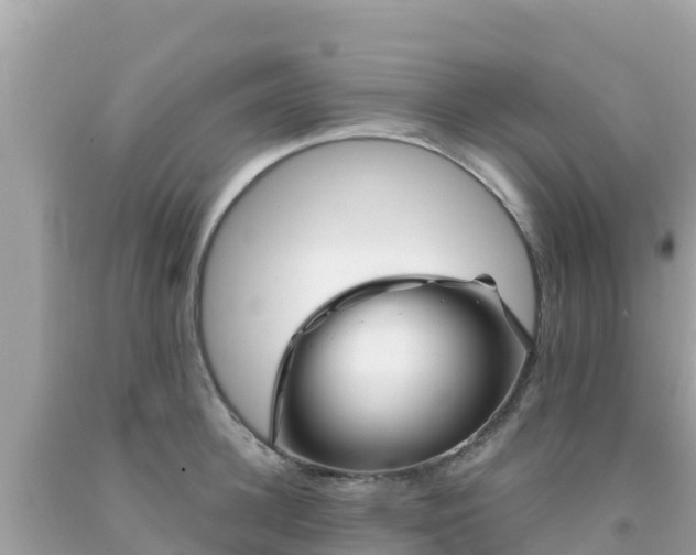 X0000092010948200709131531