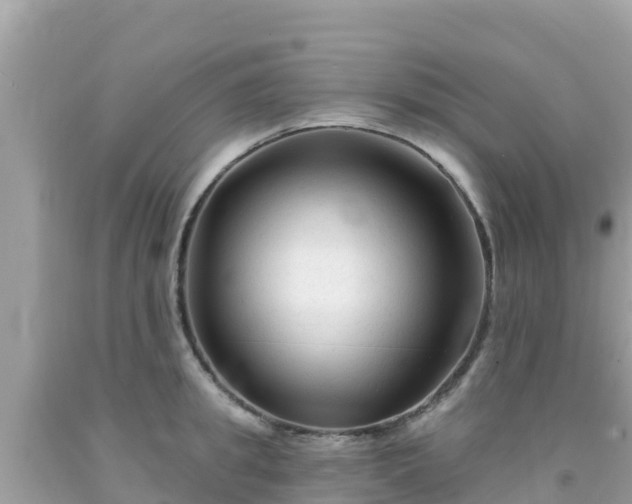 X0000092010949200709131531
