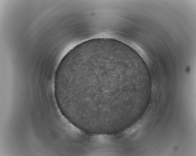 X0000092010950200709131531
