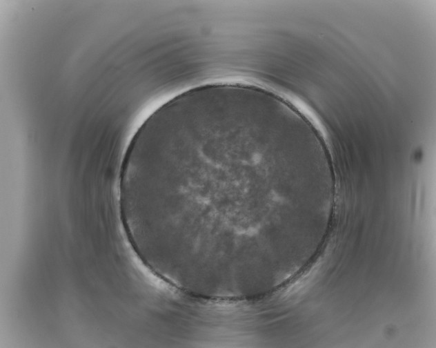 X0000092010951200709131531
