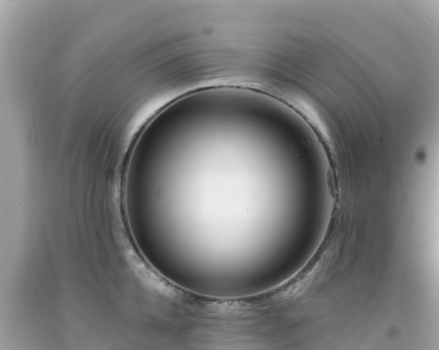X0000092010952200709131531