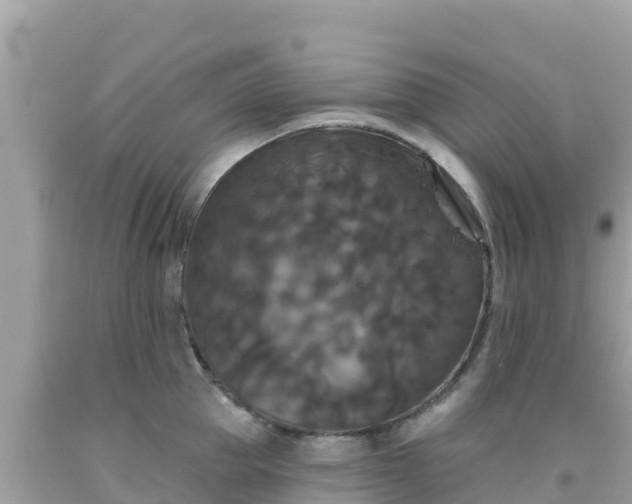 X0000092010953200709131531