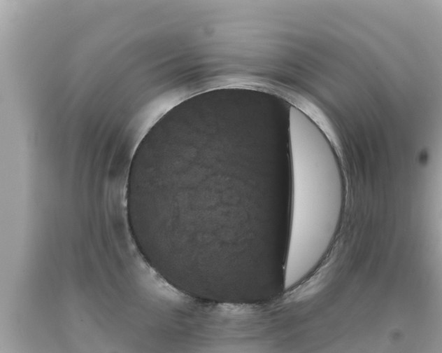 X0000092010954200709131531