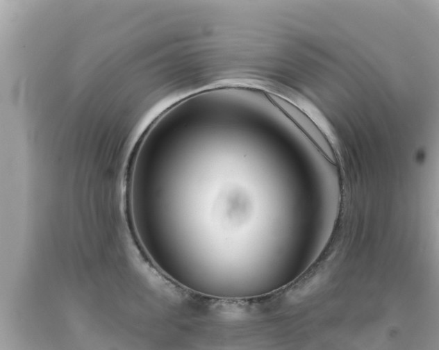 X0000092010955200709131531