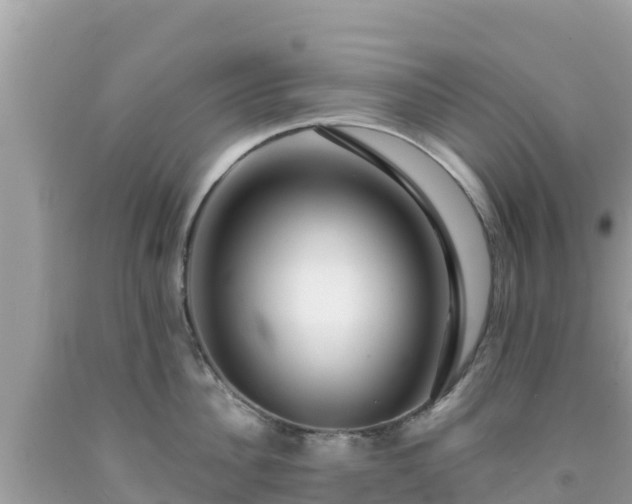 X0000092010956200709131531