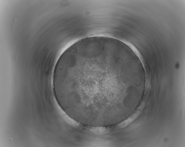 X0000092010957200709131531