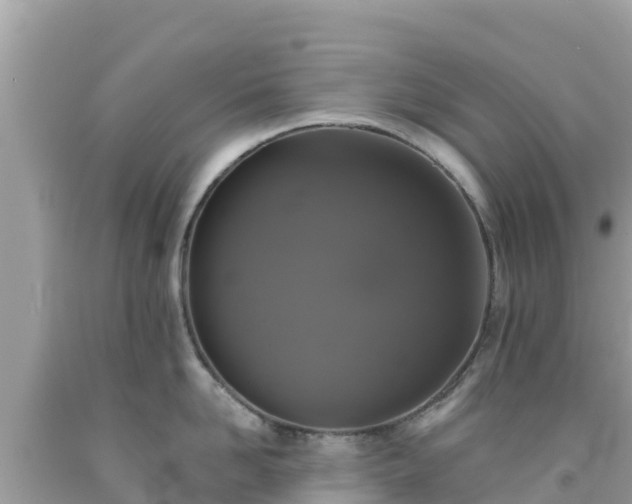 X0000092010958200709131531