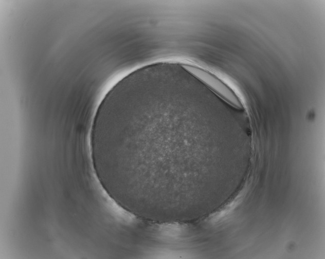 X0000092010959200709131531