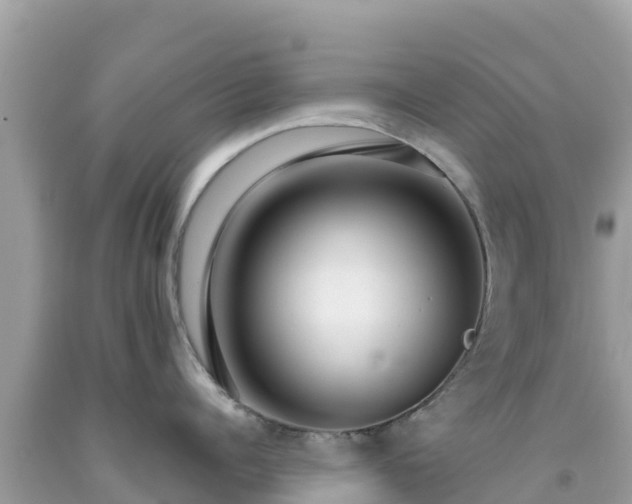 X0000092010960200709131531