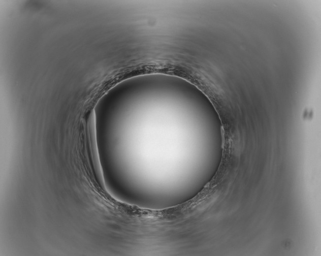 X0000092010961200709131531