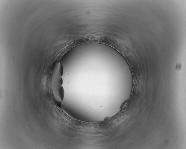 X0000092010962200709131531