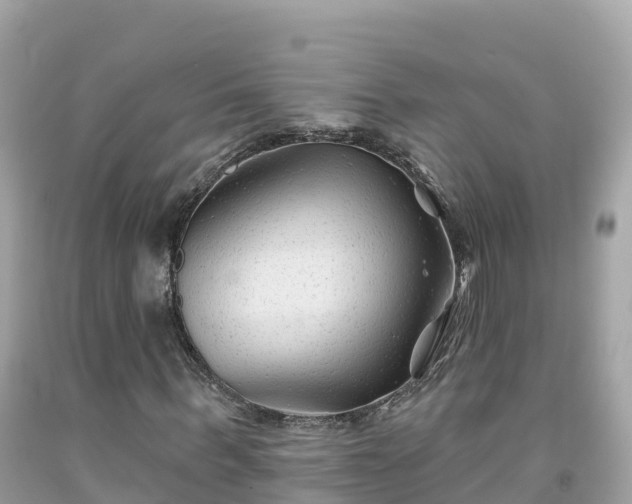 X0000092010963200709131531