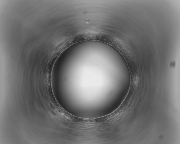 X0000092010964200709131531