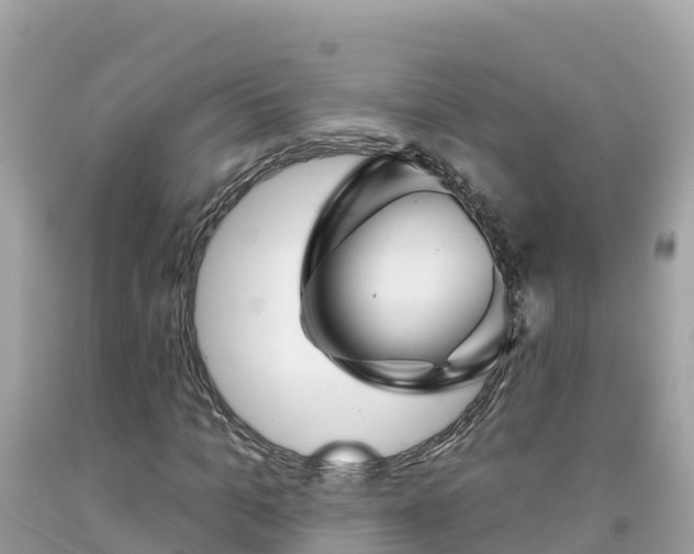 X0000092010965200709131531