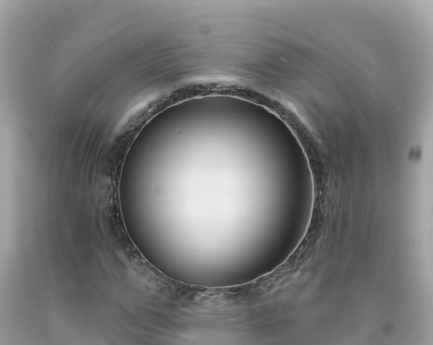 X0000092010967200709131531