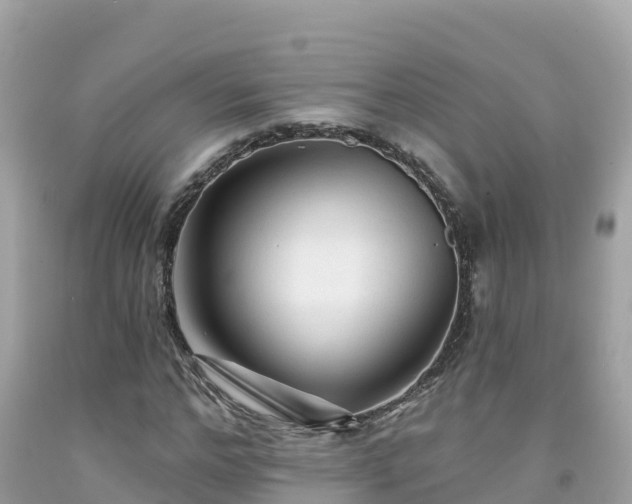 X0000092010968200709131531