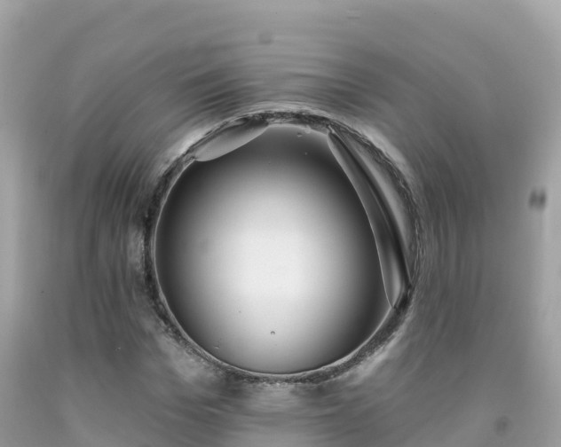X0000092010969200709131531