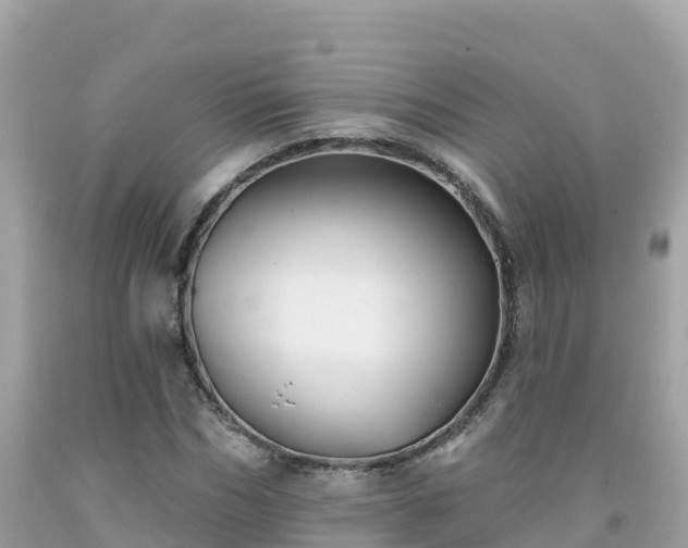 X0000092010970200709131531