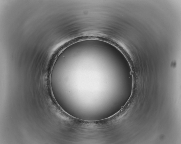 X0000092010971200709131531