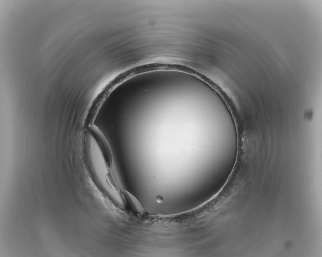 X0000092010972200709131531