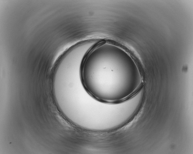 X0000092010973200709131531