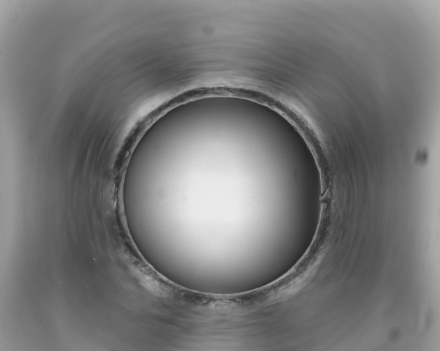 X0000092010974200709131531